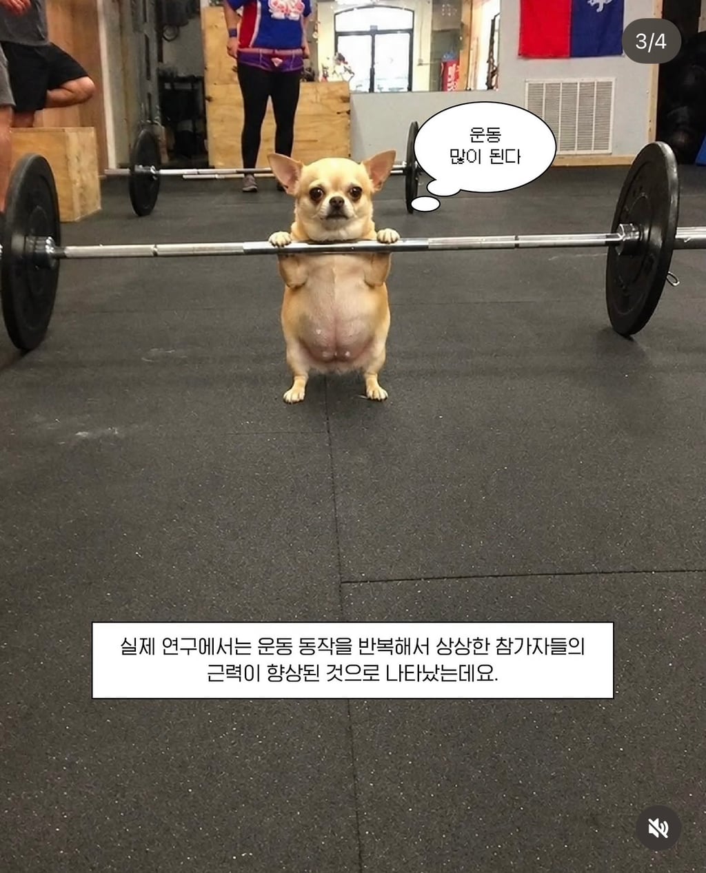 마음자로에 이은 상상운동 | 인스티즈