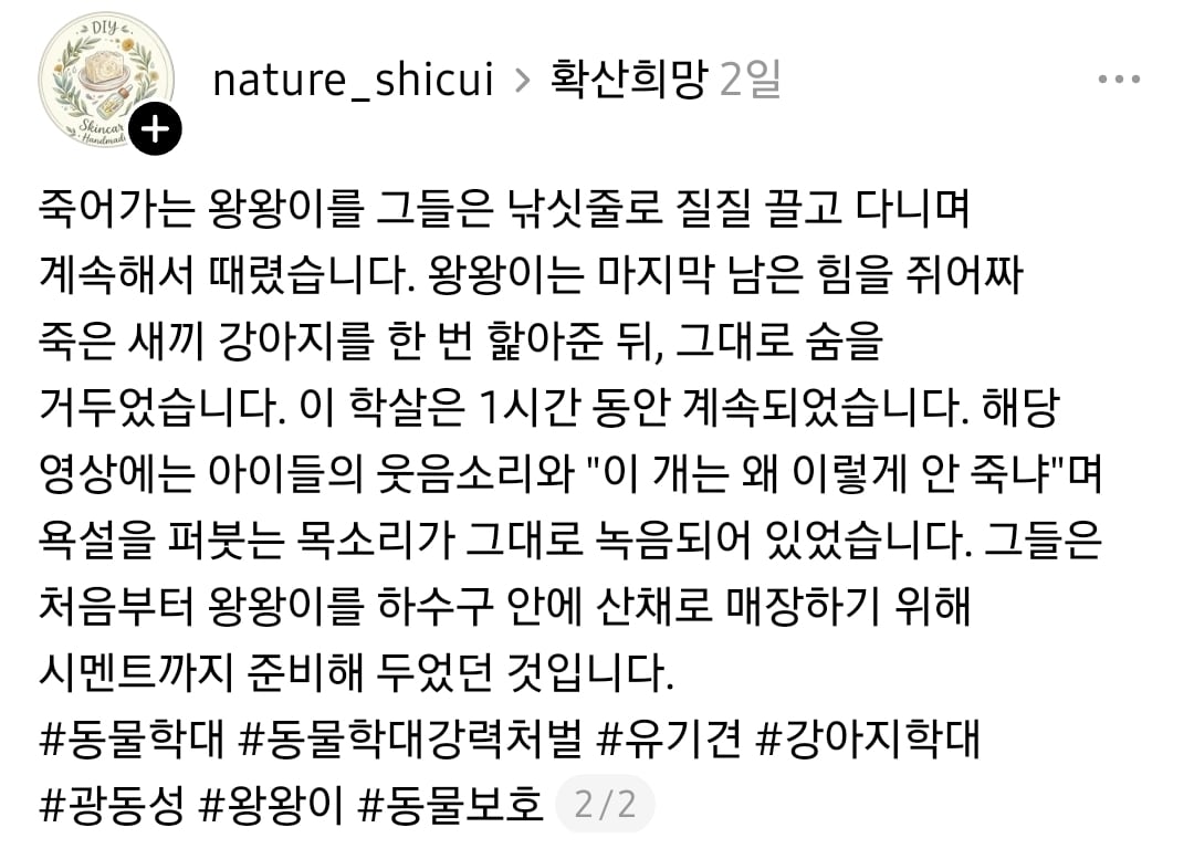 SNS에서 난리난 중국 광동성 유기견 잔혹 학살 사건 (어미견 불태워 죽임) | 인스티즈