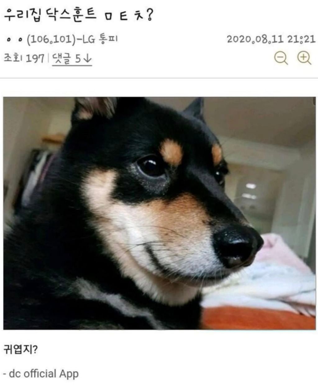 무릎팍도사에 나온 올밴 이 사람 아는사람 | 인스티즈