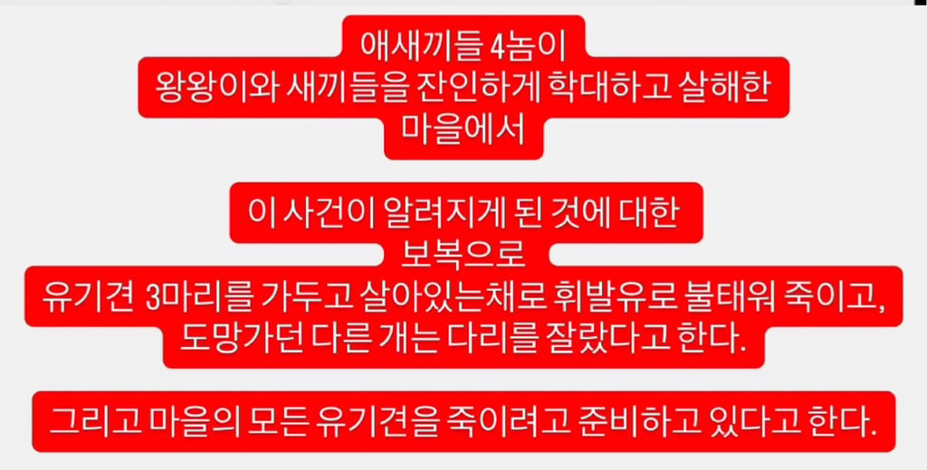 중국 광동성 13세 소년 4명의 떠돌이개 왕왕이 가족 학대 살해 사건 | 인스티즈