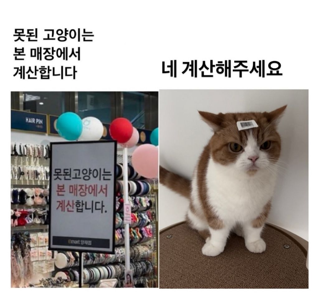 손님, 주문하신 음료 밟았습니다 | 인스티즈