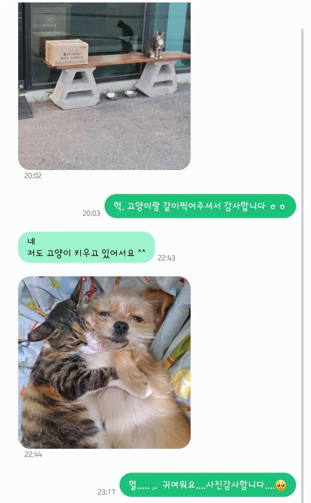 택배기사님이 가게 앞에 택배를 두고가시면서 사진을 이렇게 찍어주신거야 | 인스티즈