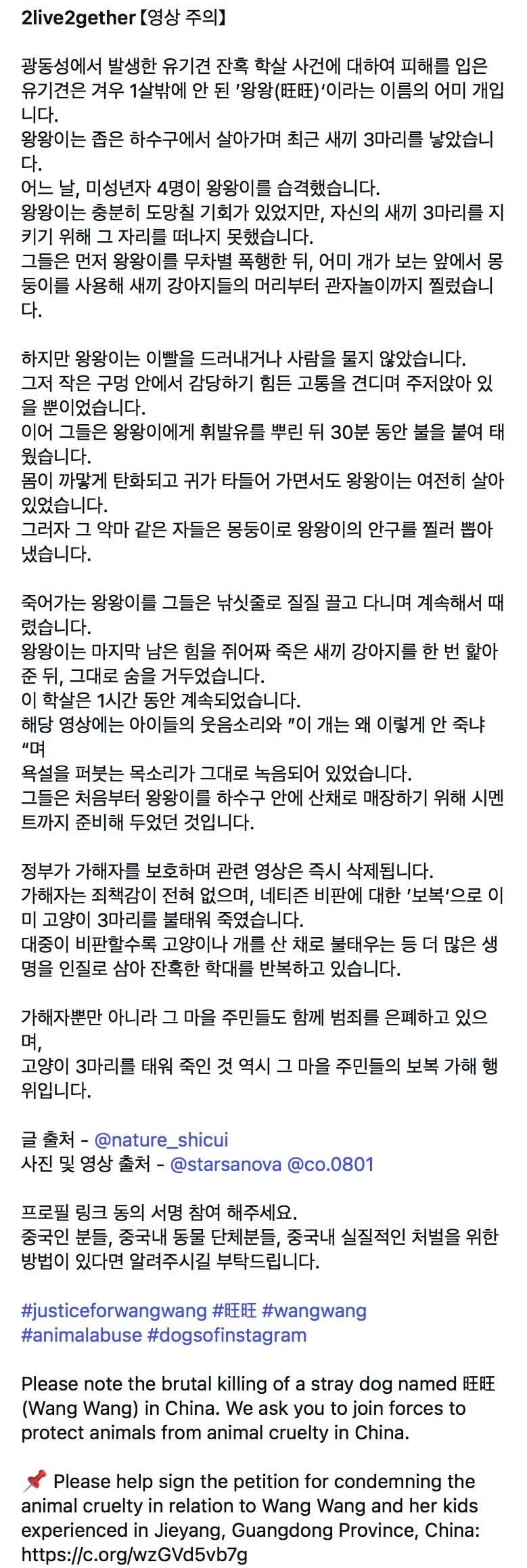 중국 광동성 13세 소년 4명의 떠돌이개 왕왕이 가족 학대 살해 사건 | 인스티즈