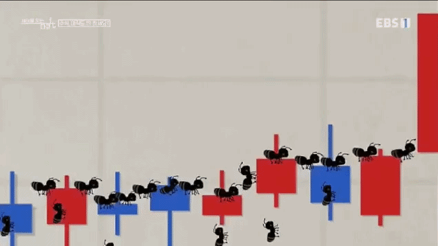 EBS에서 만든 주식시장 움짤.gif | 인스티즈