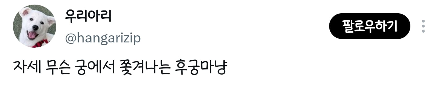 자세 무슨 궁에서 쫓겨나는 후궁마냥 | 인스티즈