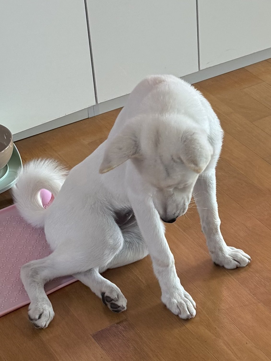 자세 무슨 궁에서 쫓겨나는 후궁마냥 | 인스티즈