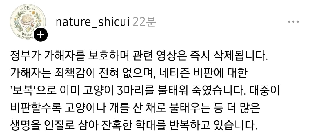 SNS에서 난리난 중국 광동성 유기견 잔혹 학살 사건 (어미견 불태워 죽임) | 인스티즈