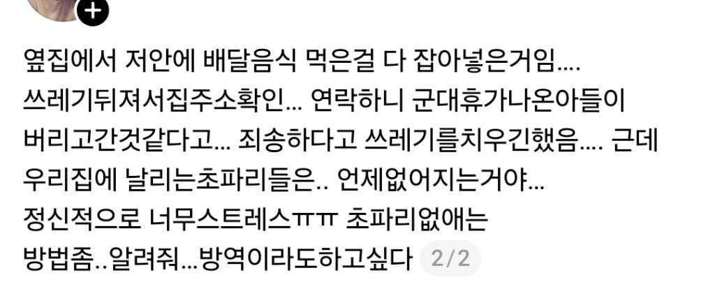 (벌레혐주의) 일주일 전부터 현관 앞에 없던 초파리가 날리기 시작함 | 인스티즈