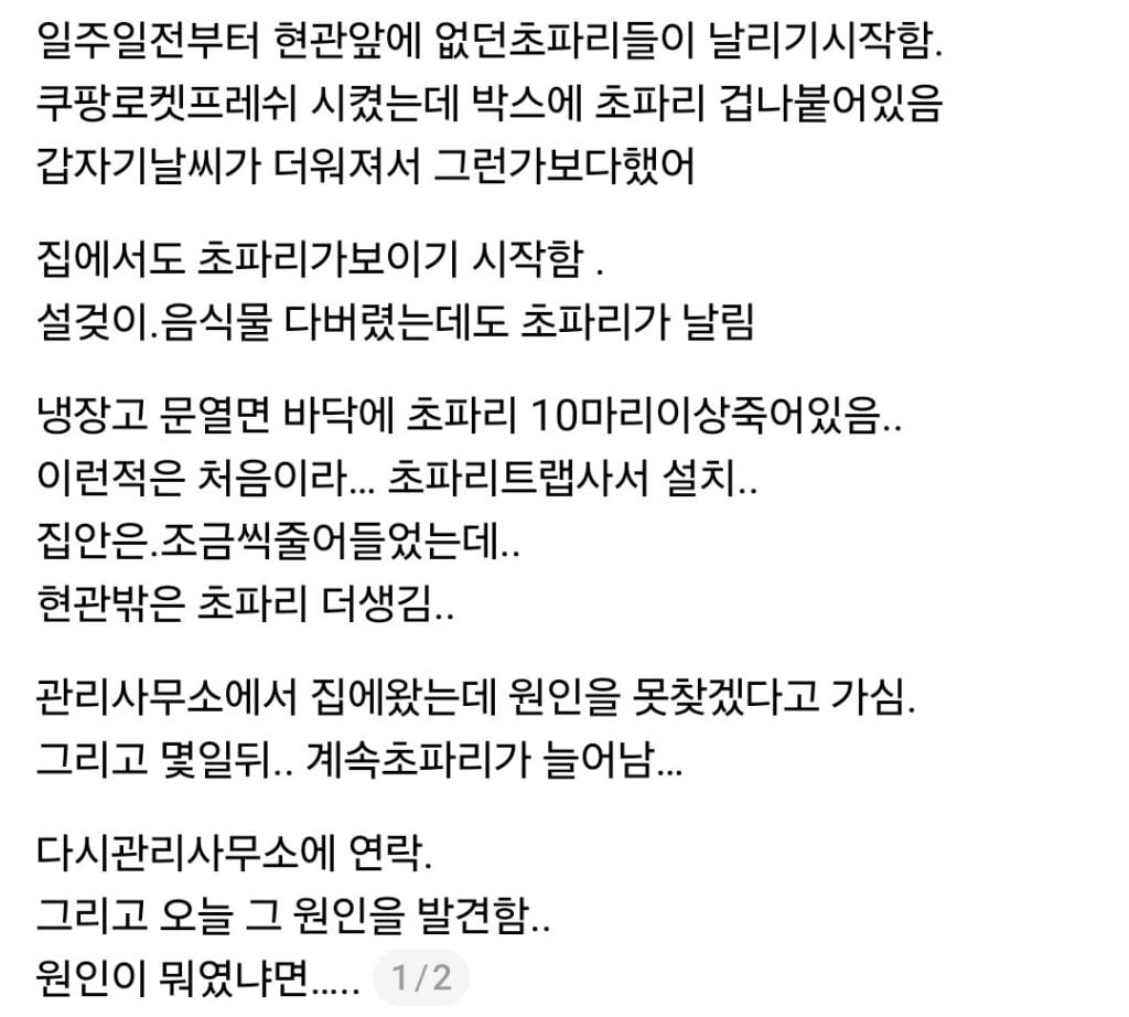 (벌레혐주의) 일주일 전부터 현관 앞에 없던 초파리가 날리기 시작함 | 인스티즈