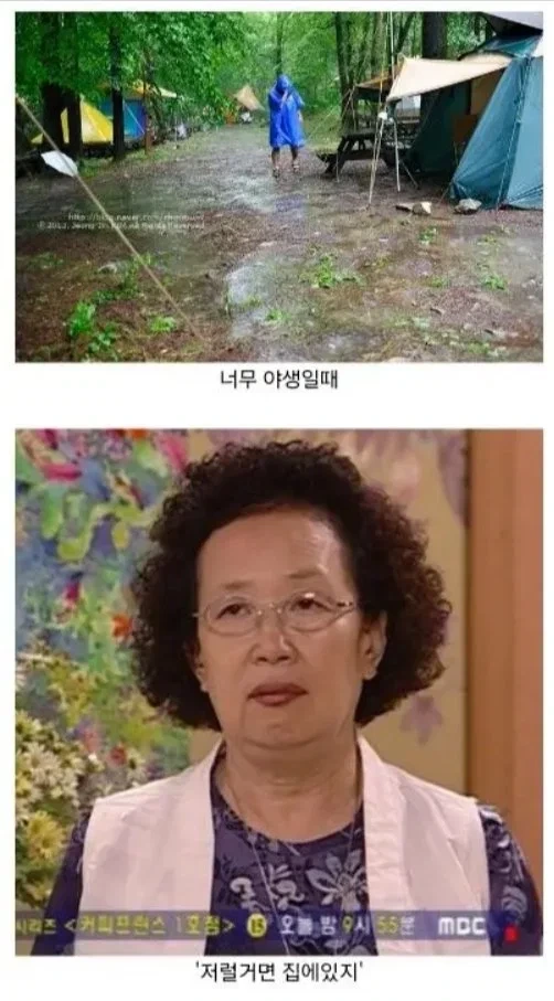 캠핑을 이해하지 못하는 사람들의 시선 | 인스티즈