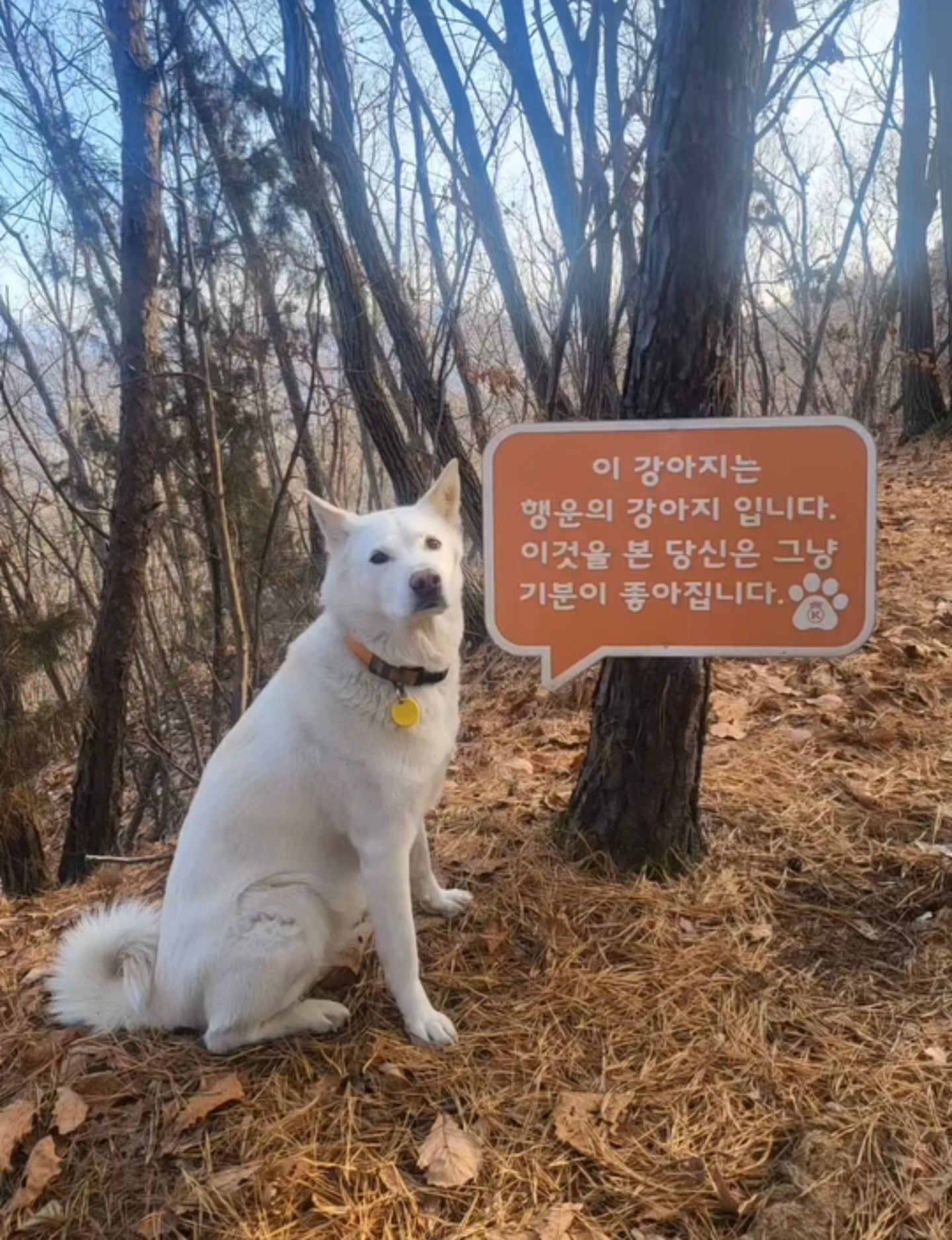SNS 스타 풍순이 아빠=이대우 형사 "나보다 훨씬 유명해” (히든아이) | 인스티즈