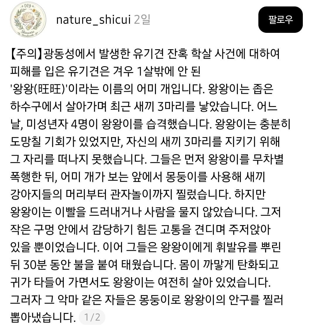 SNS에서 난리난 중국 광동성 유기견 잔혹 학살 사건 (어미견 불태워 죽임) | 인스티즈