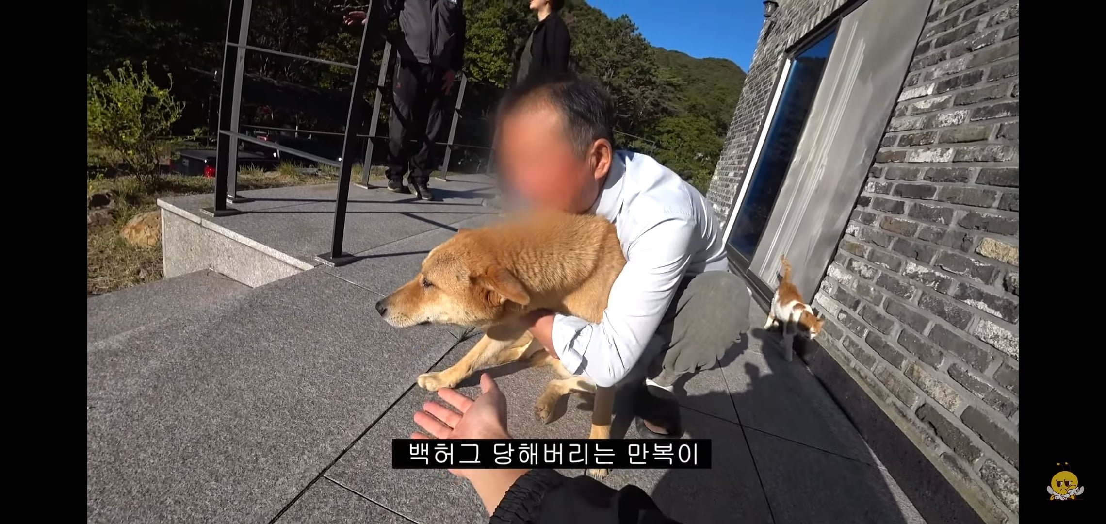 갑자기 유튜버 집에 들어온 떠돌이개가 알고보니 부잣집 도련님이었음.jpg | 인스티즈
