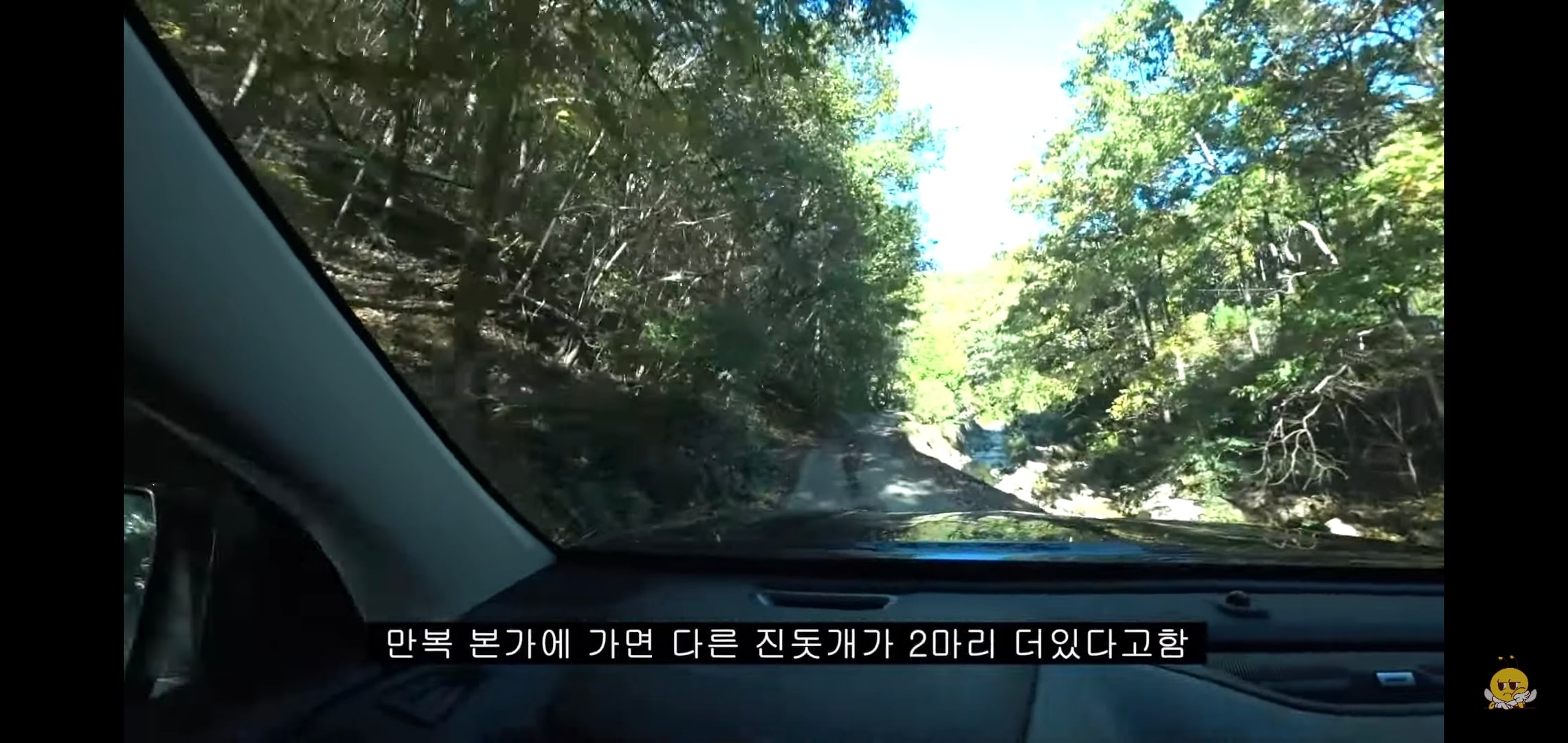 갑자기 유튜버 집에 들어온 떠돌이개가 알고보니 부잣집 도련님이었음.jpg | 인스티즈