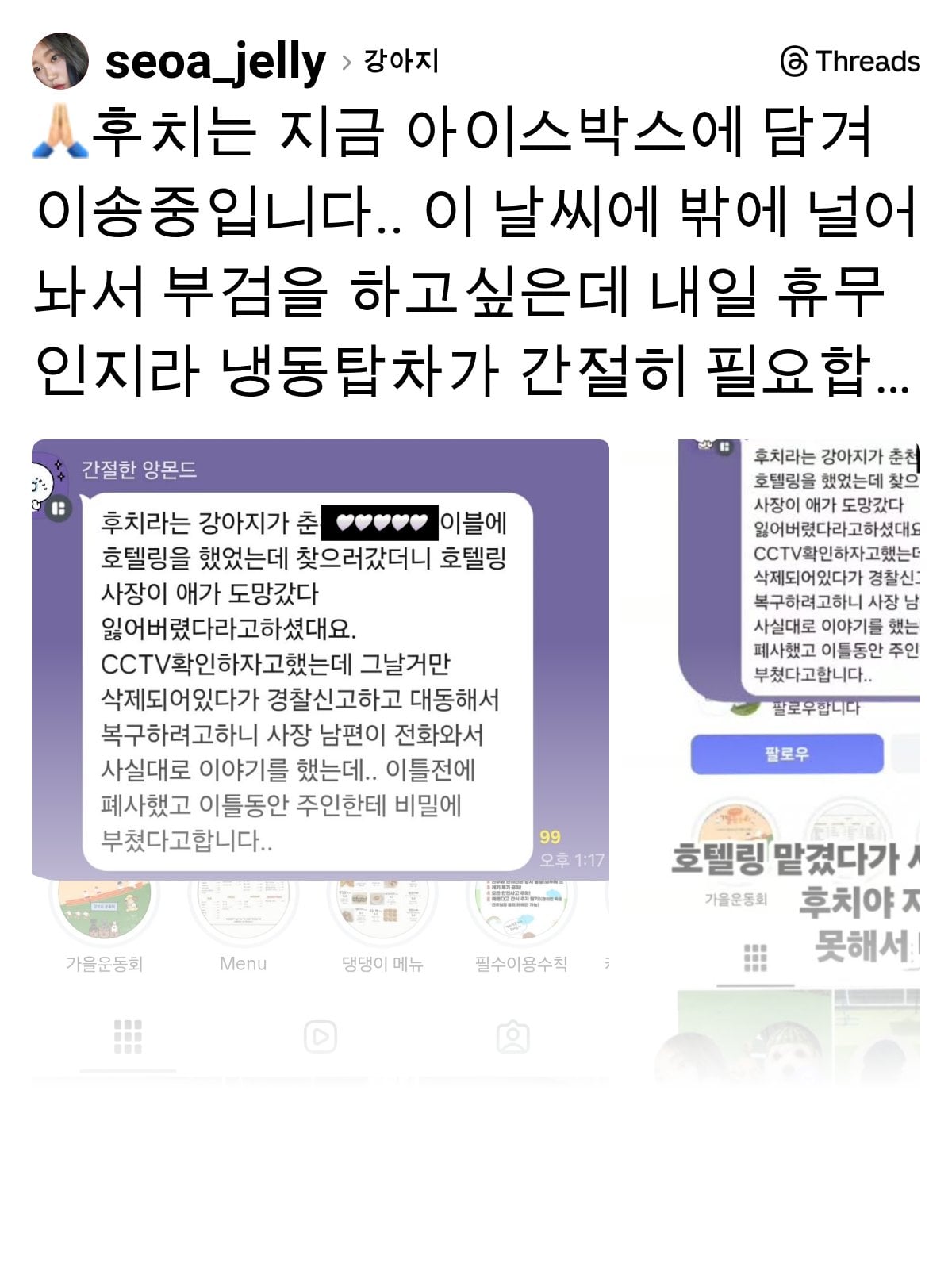 춘천 반려견 호텔링 중 사망 타임라인 | 인스티즈