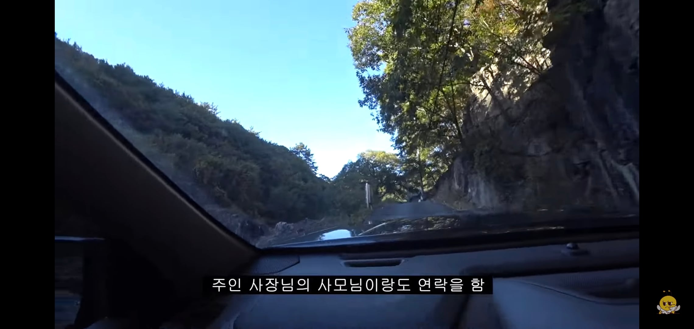 갑자기 유튜버 집에 들어온 떠돌이개가 알고보니 부잣집 도련님이었음.jpg | 인스티즈