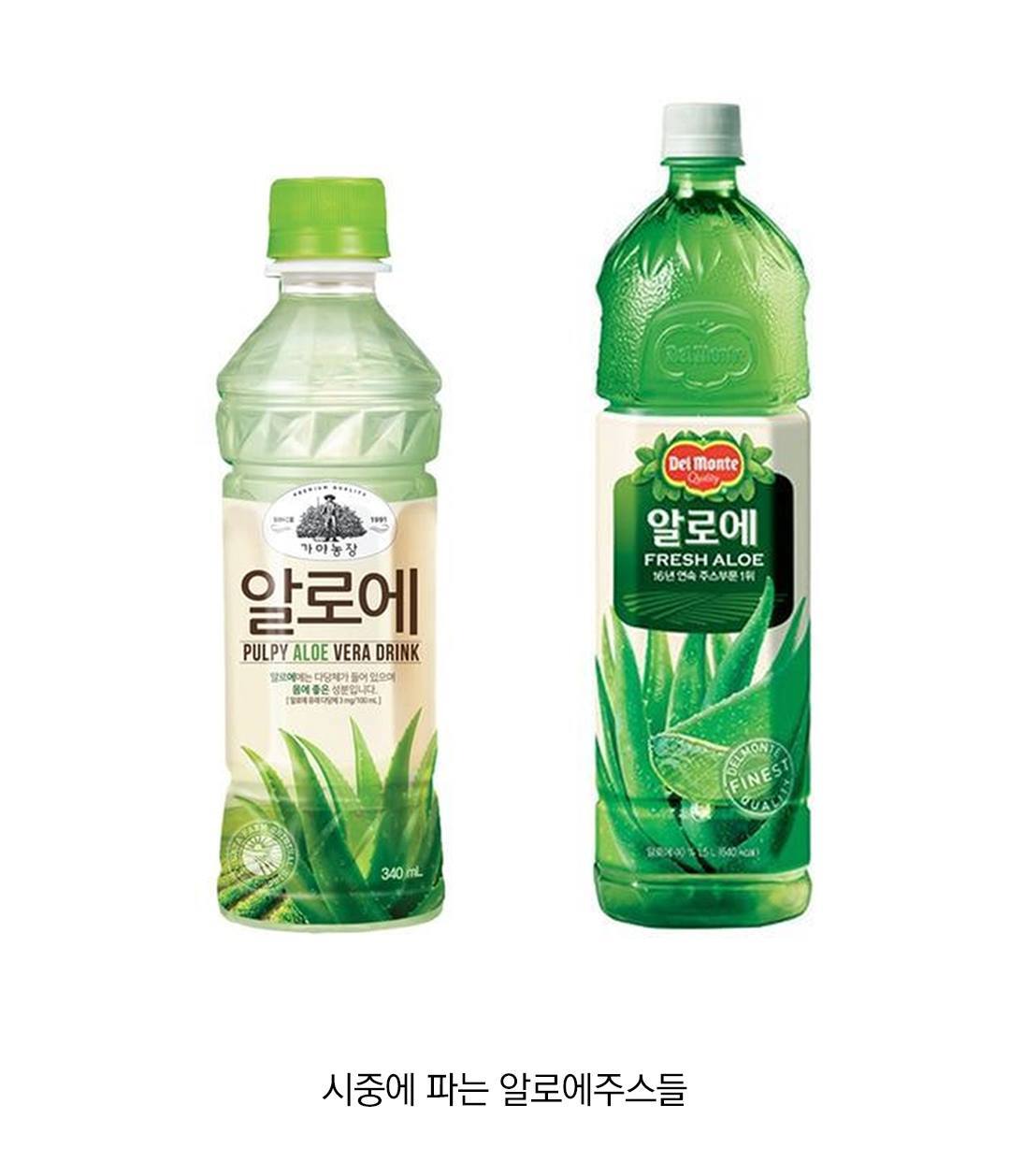 대부분 모르는 알로에 주스 비밀.jpg | 인스티즈