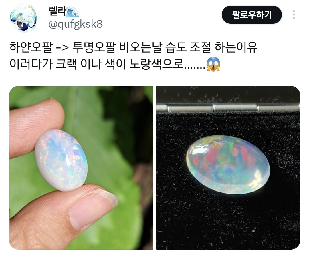 요즘 미쳐버린 한국의 습도에 영롱해진 보석.twt | 인스티즈