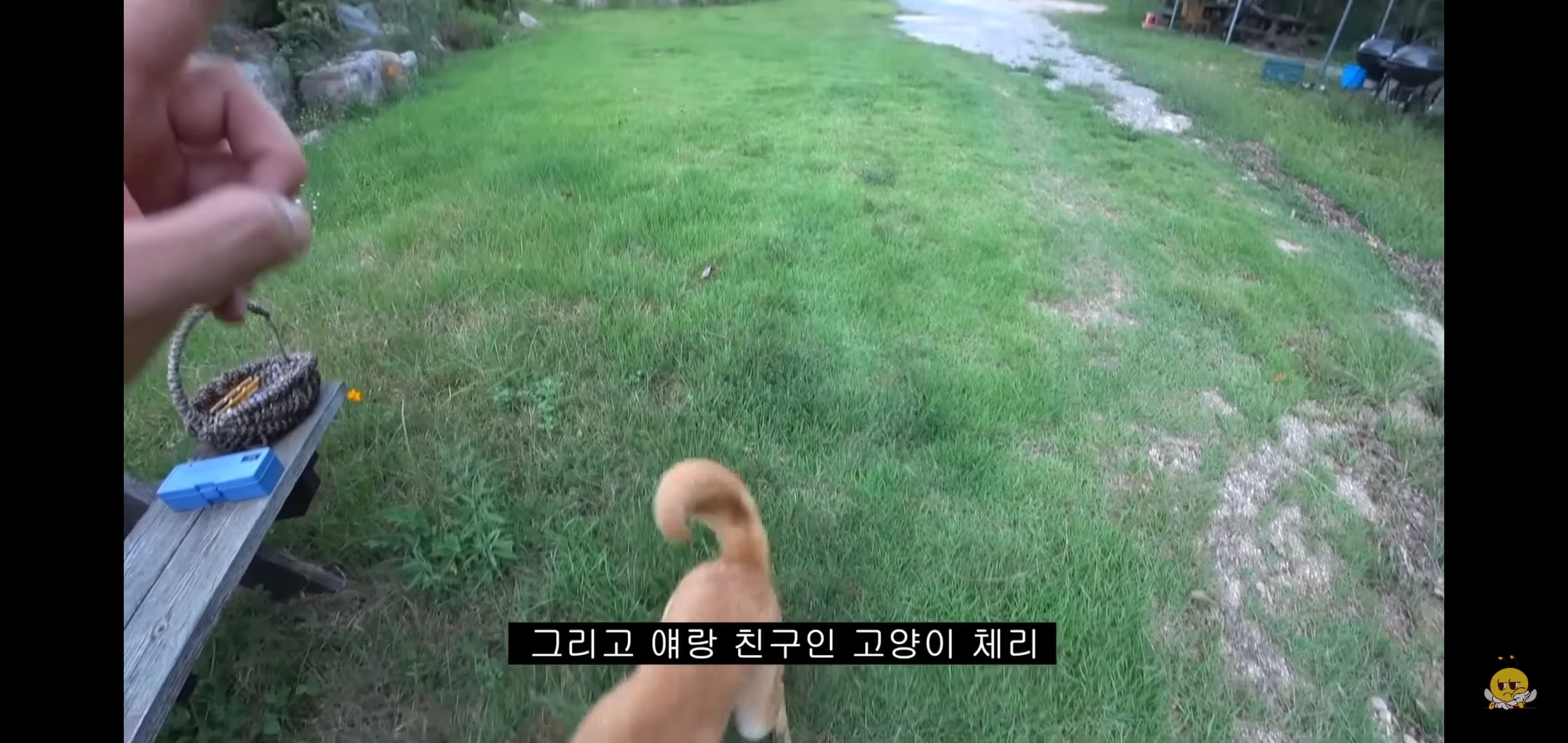 갑자기 유튜버 집에 들어온 떠돌이개가 알고보니 부잣집 도련님이었음.jpg | 인스티즈