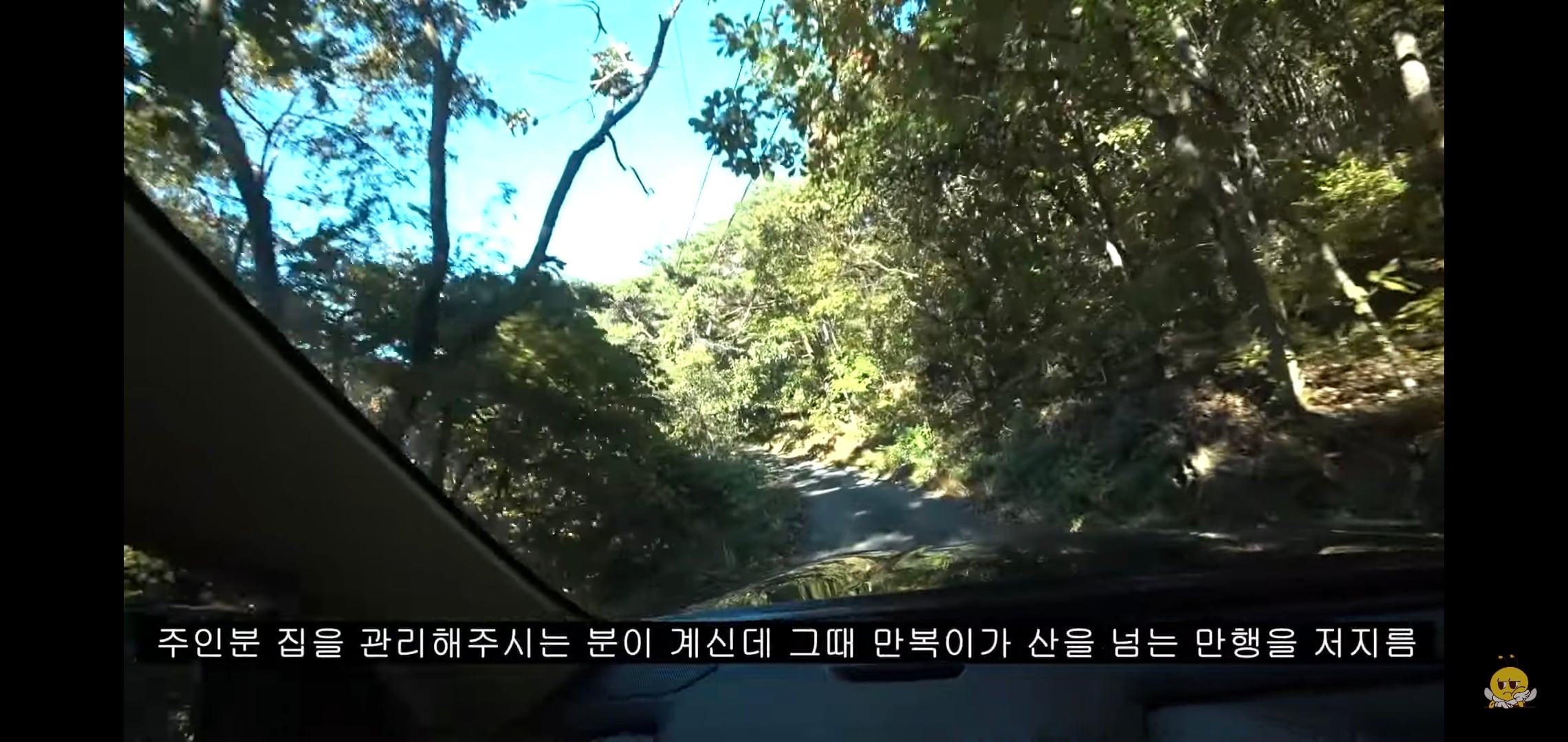 갑자기 유튜버 집에 들어온 떠돌이개가 알고보니 부잣집 도련님이었음.jpg | 인스티즈