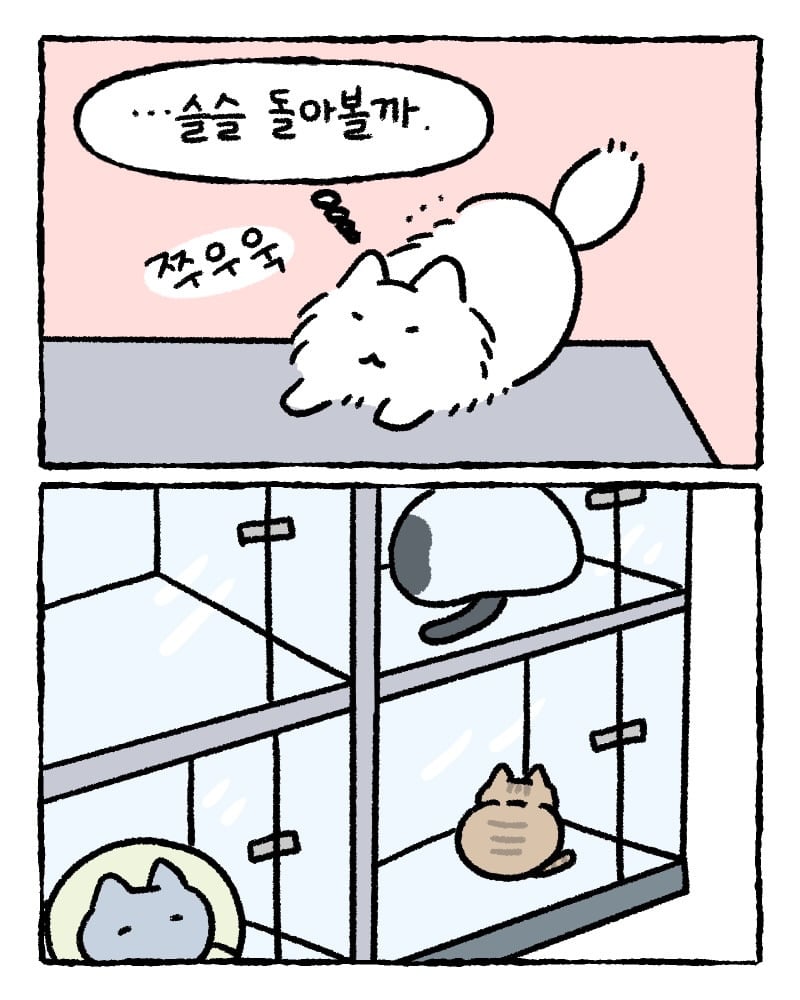 저희 집사한테 전해주시겠어요? | 인스티즈