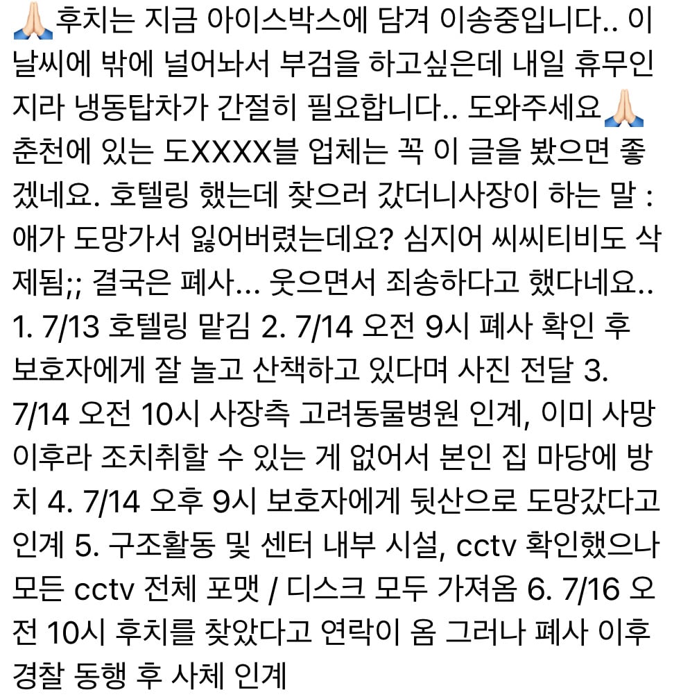 춘천 반려견 호텔링 중 사망 타임라인 | 인스티즈