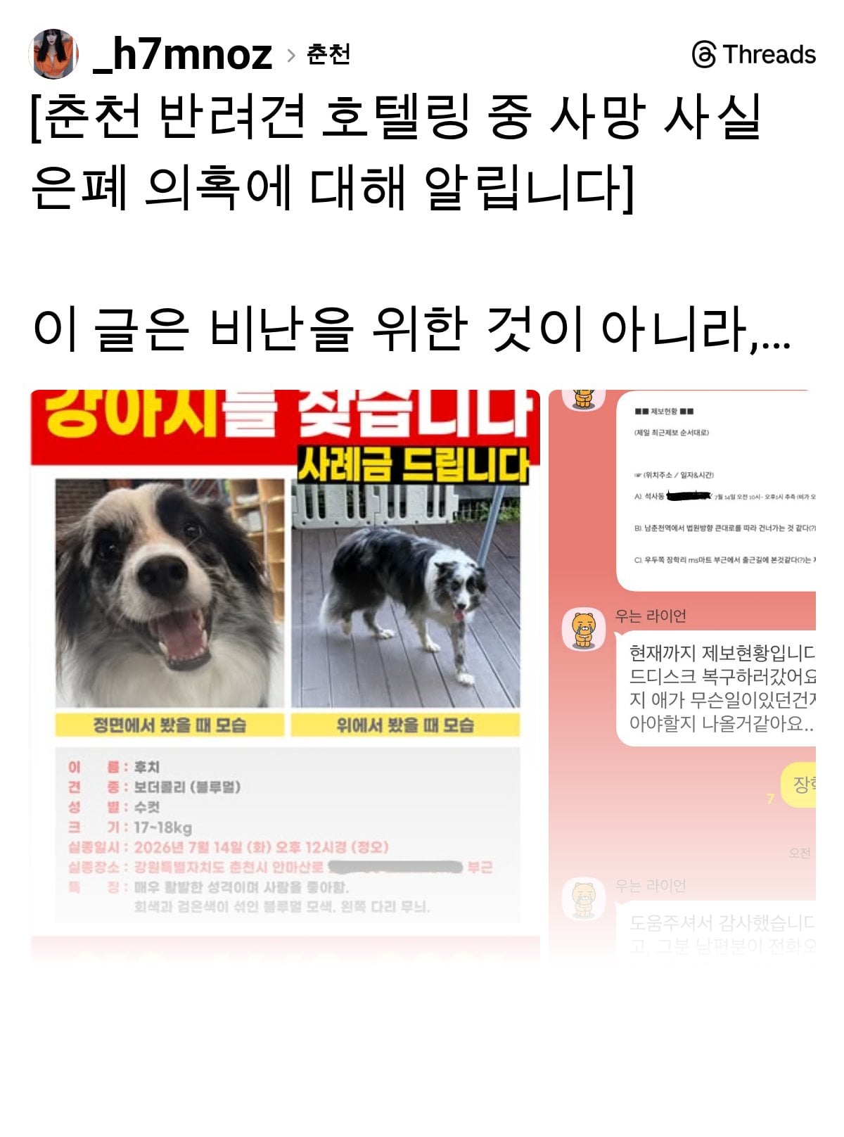 춘천 반려견 호텔링 중 사망 타임라인 | 인스티즈