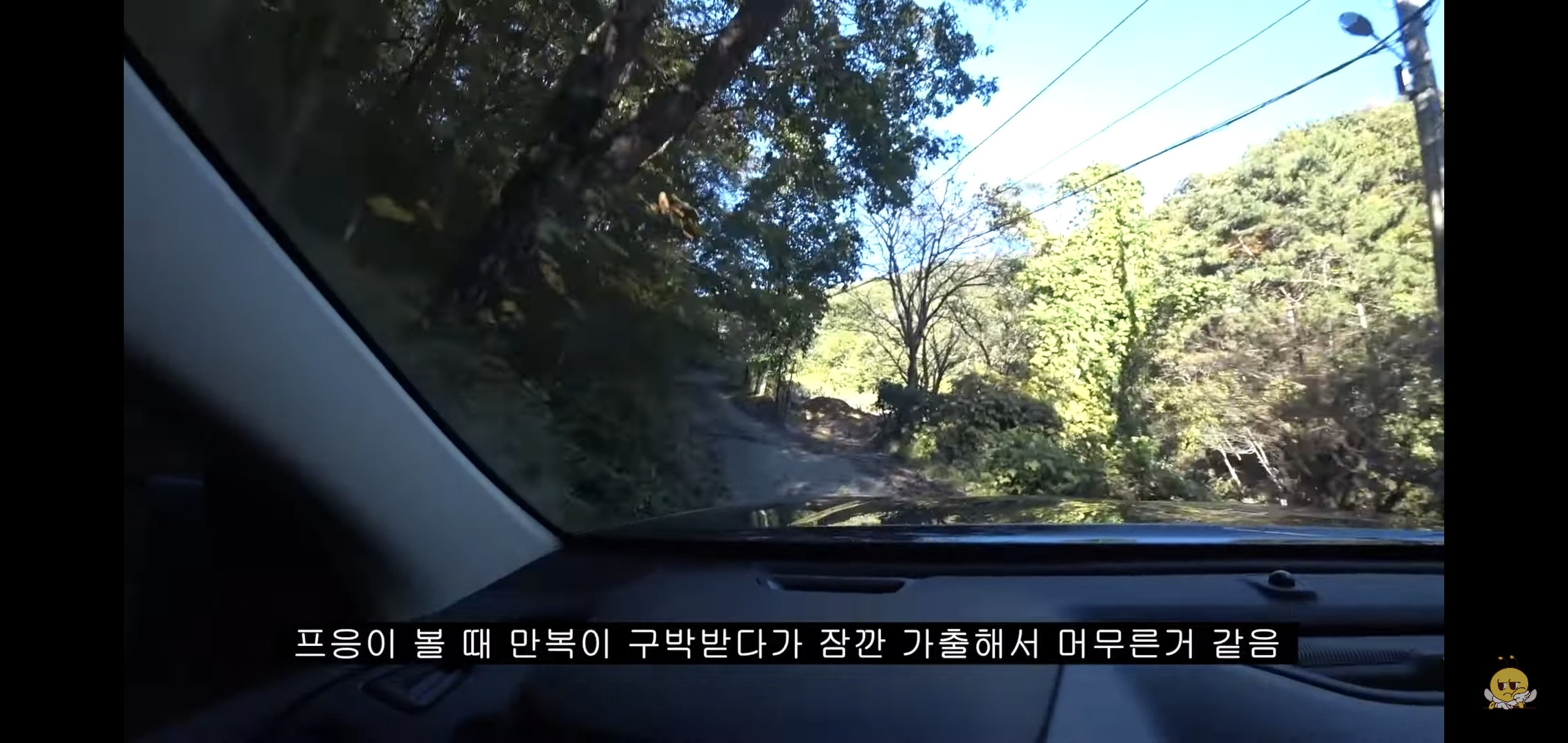 갑자기 유튜버 집에 들어온 떠돌이개가 알고보니 부잣집 도련님이었음.jpg | 인스티즈
