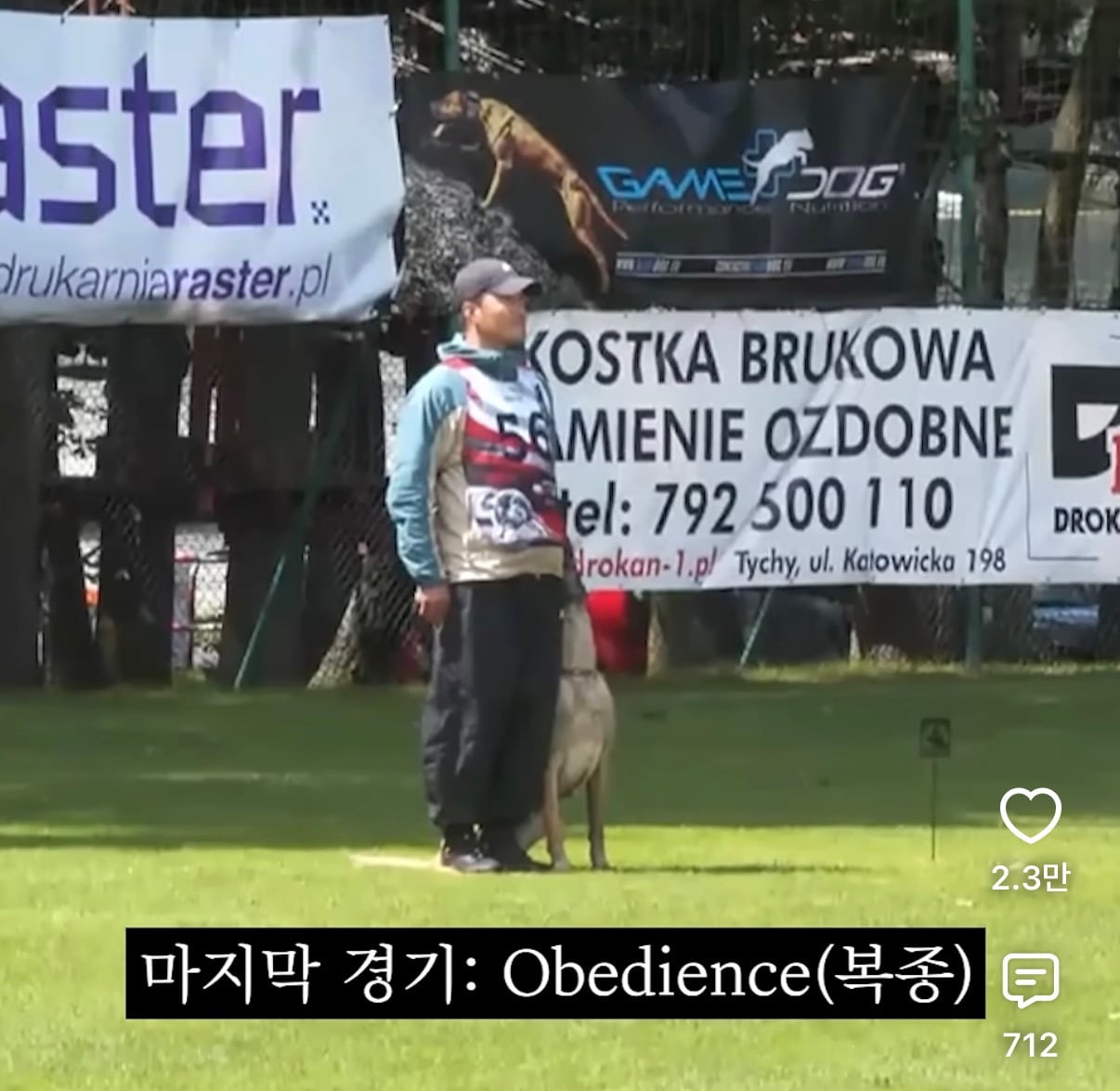 강형욱 강아지 복종대회 맛보기 영상 | 인스티즈