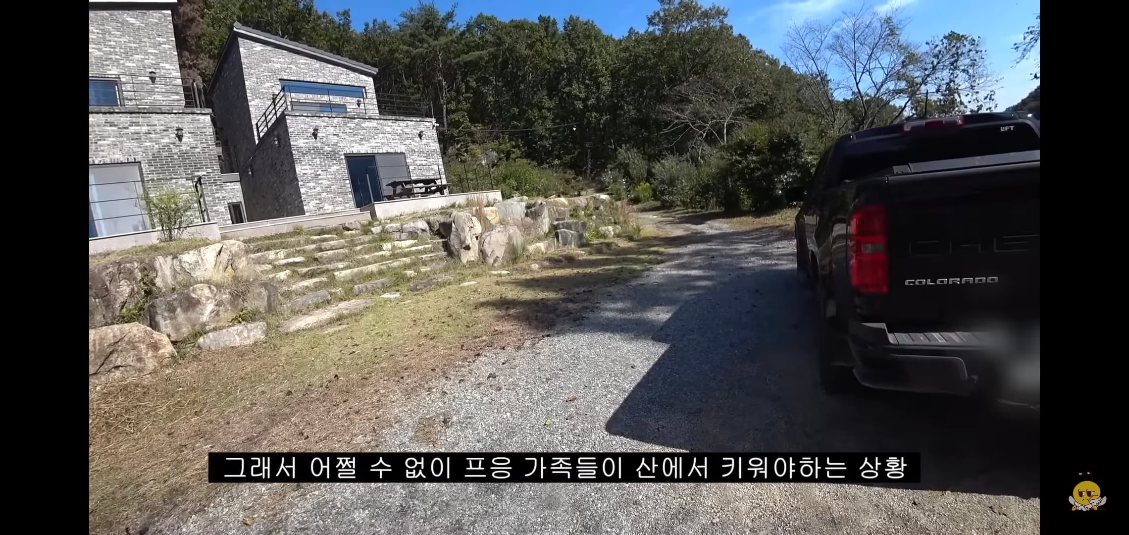 갑자기 유튜버 집에 들어온 떠돌이개가 알고보니 부잣집 도련님이었음.jpg | 인스티즈