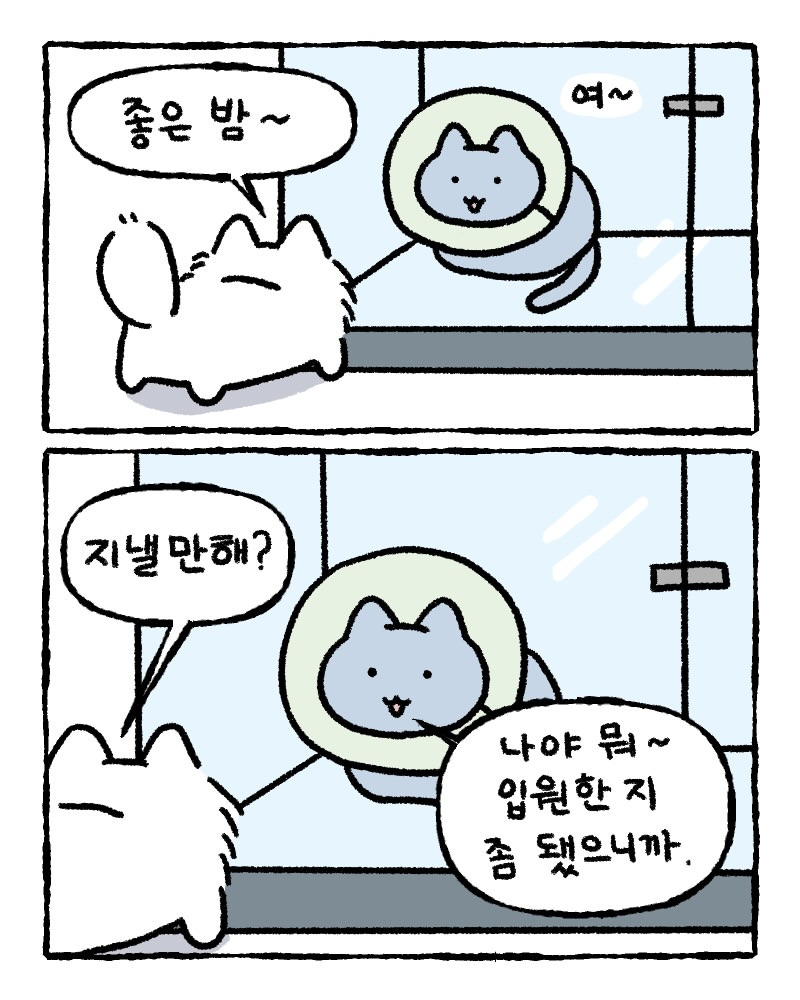 저희 집사한테 전해주시겠어요? | 인스티즈