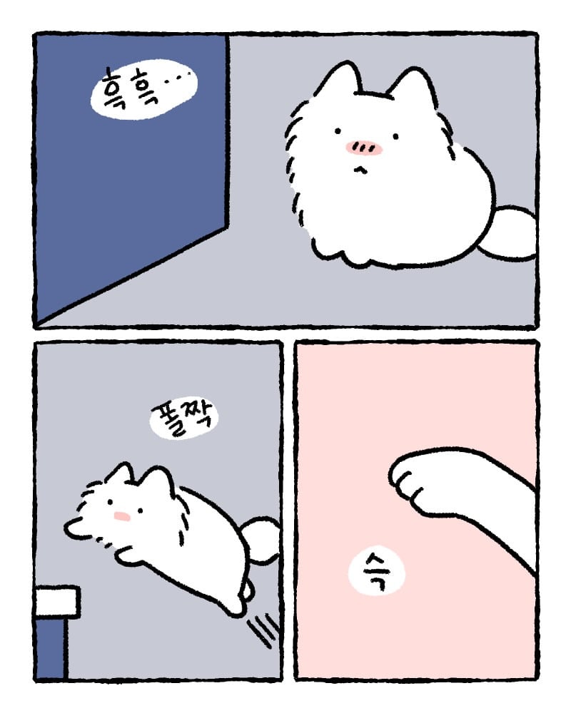저희 집사한테 전해주시겠어요? | 인스티즈
