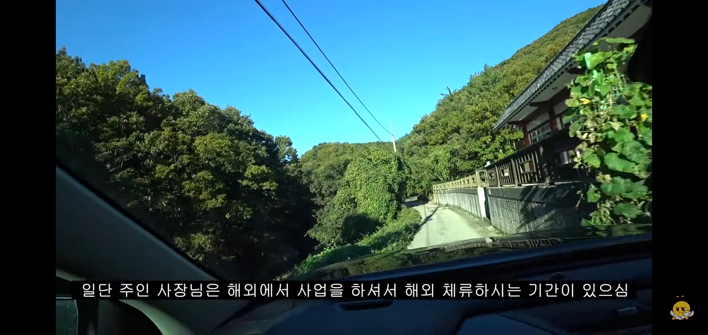 갑자기 유튜버 집에 들어온 떠돌이개가 알고보니 부잣집 도련님이었음.jpg | 인스티즈