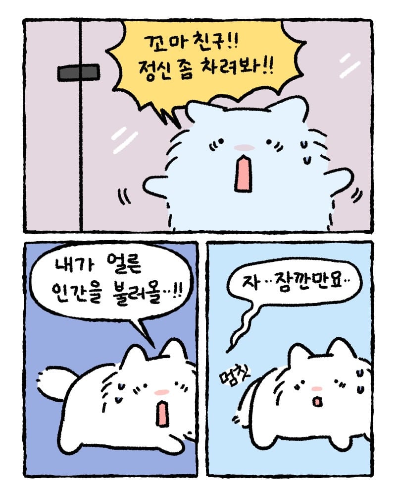 저희 집사한테 전해주시겠어요? | 인스티즈