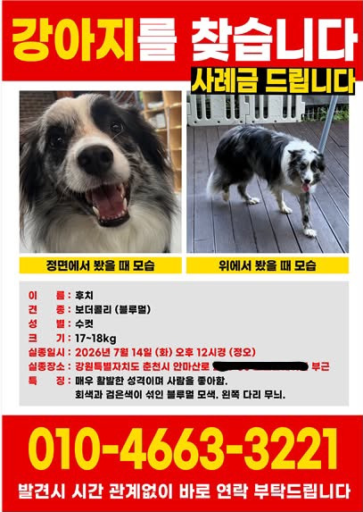 춘천 반려견 호텔링 중 사망 타임라인 | 인스티즈
