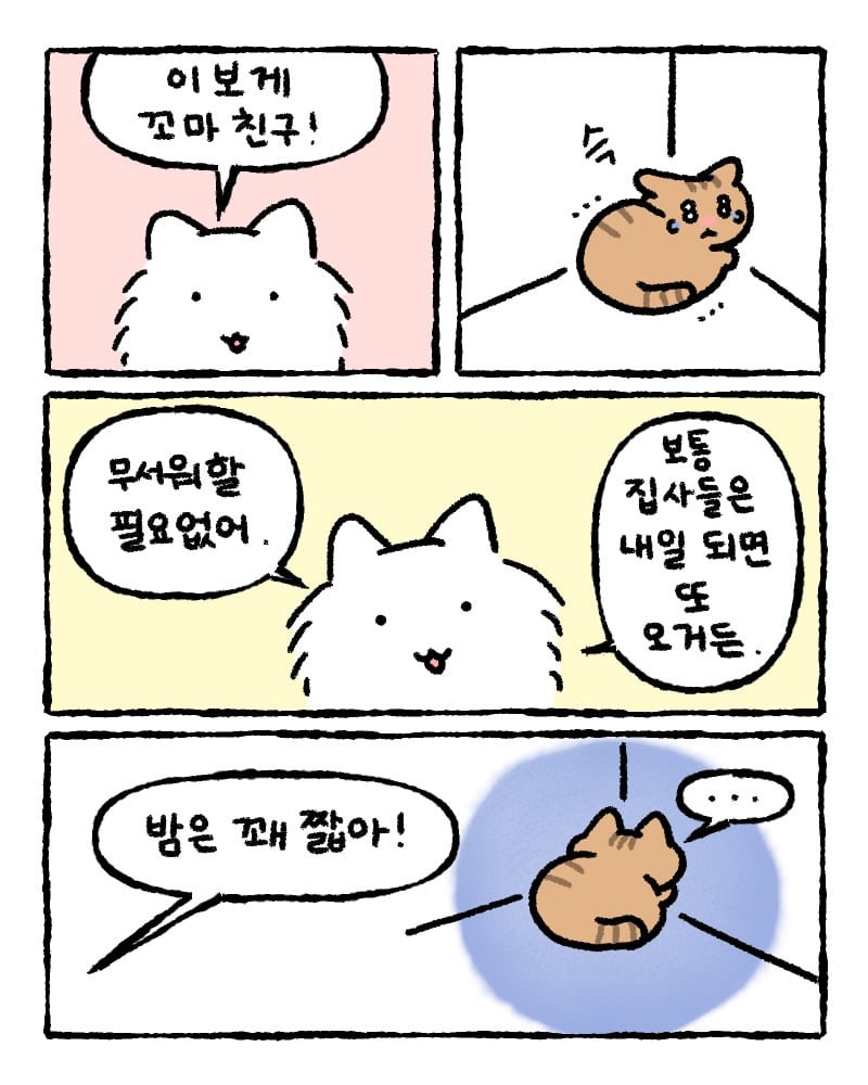 저희 집사한테 전해주시겠어요? | 인스티즈