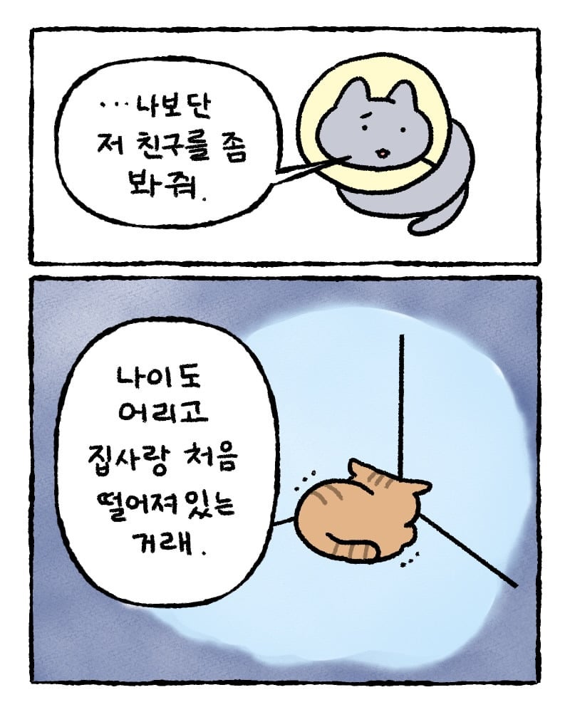 저희 집사한테 전해주시겠어요? | 인스티즈