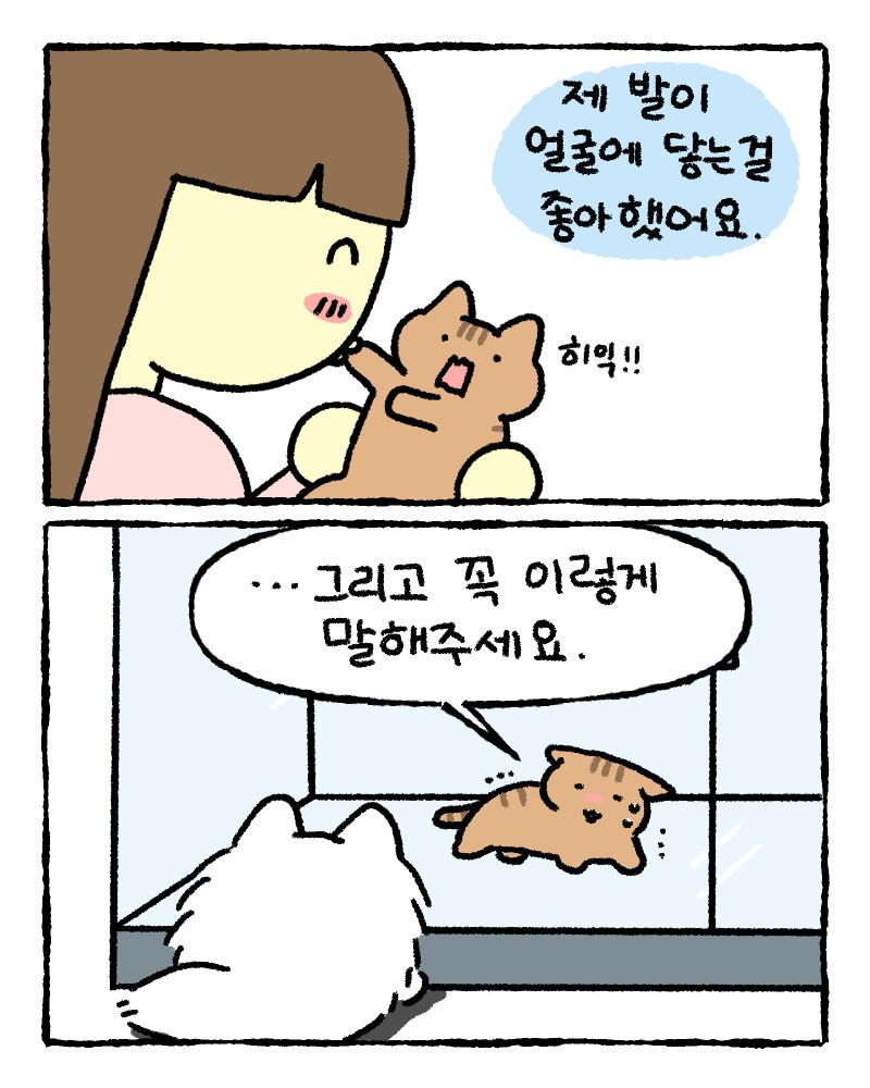 저희 집사한테 전해주시겠어요? | 인스티즈