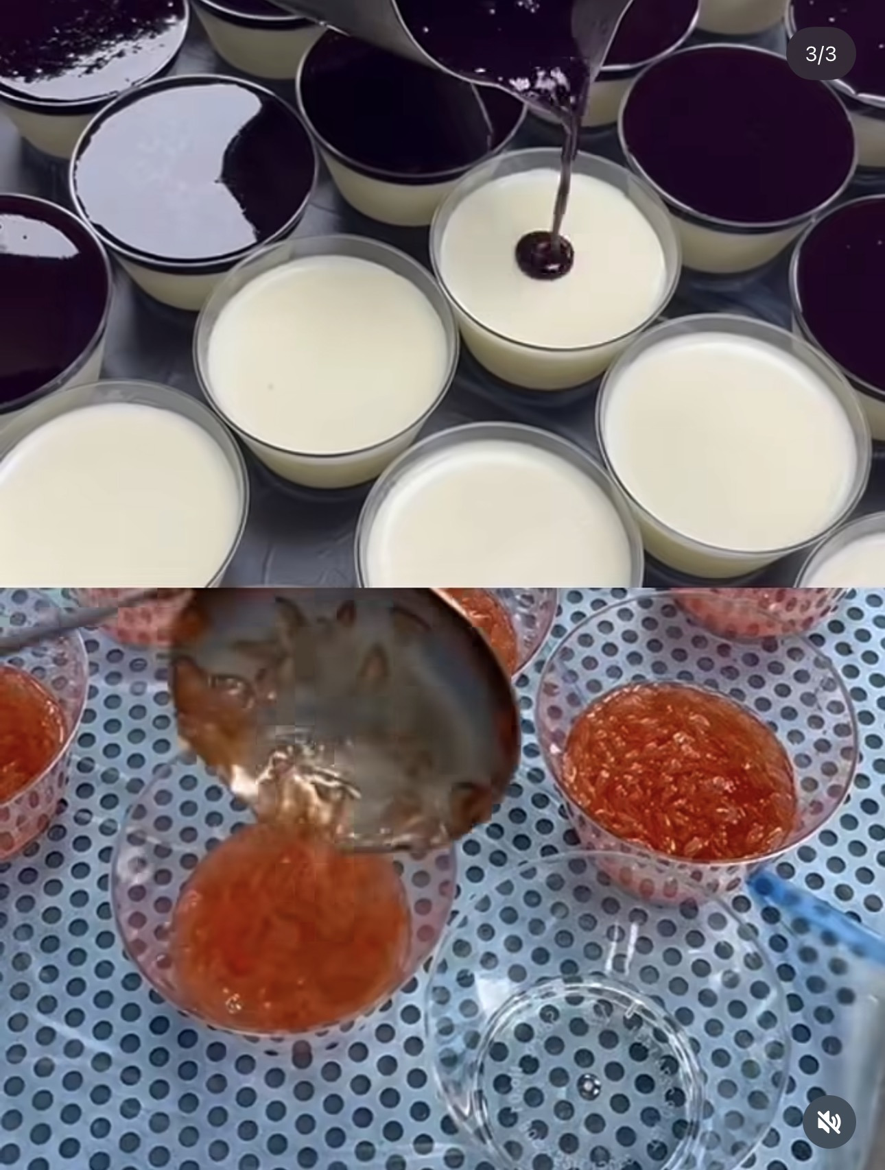 성심당 케익부띠끄 신상 꿀루베리, 한여름밤의 꿀 출시 | 인스티즈