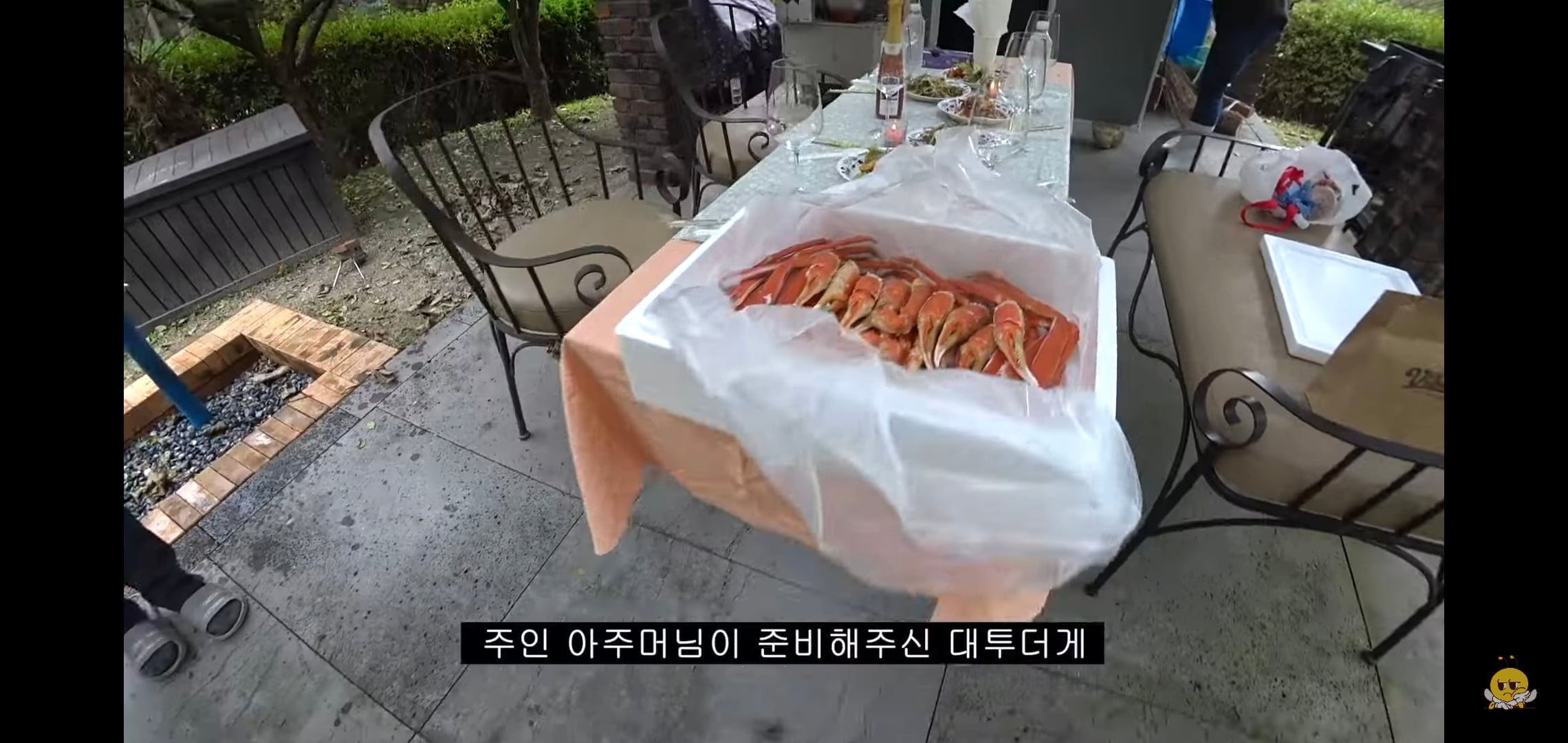 갑자기 유튜버 집에 들어온 떠돌이개가 알고보니 부잣집 도련님이었음.jpg | 인스티즈