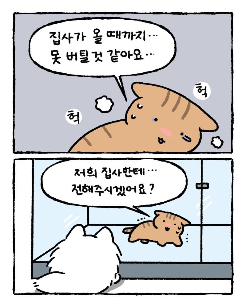저희 집사한테 전해주시겠어요? | 인스티즈