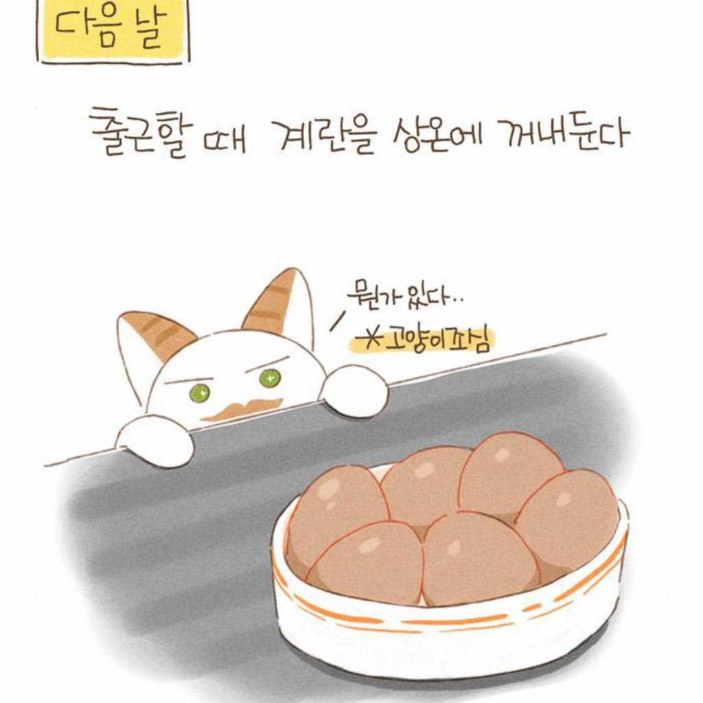 [네이버웹툰] 밥 먹고 갈래요? - 피클과 계란조림화 | 인스티즈