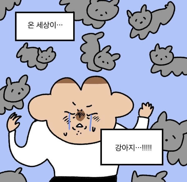 강아지 없는 일주일.jpg | 인스티즈