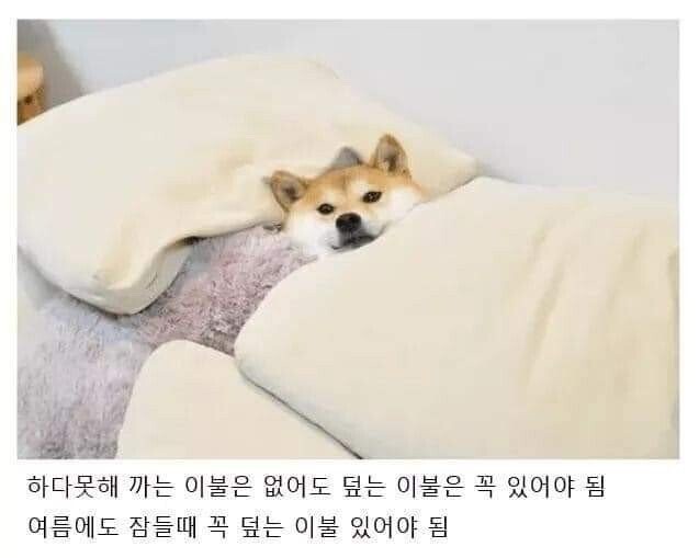 잘 때 이런 버릇 있는 사람 꼭 있음 | 인스티즈