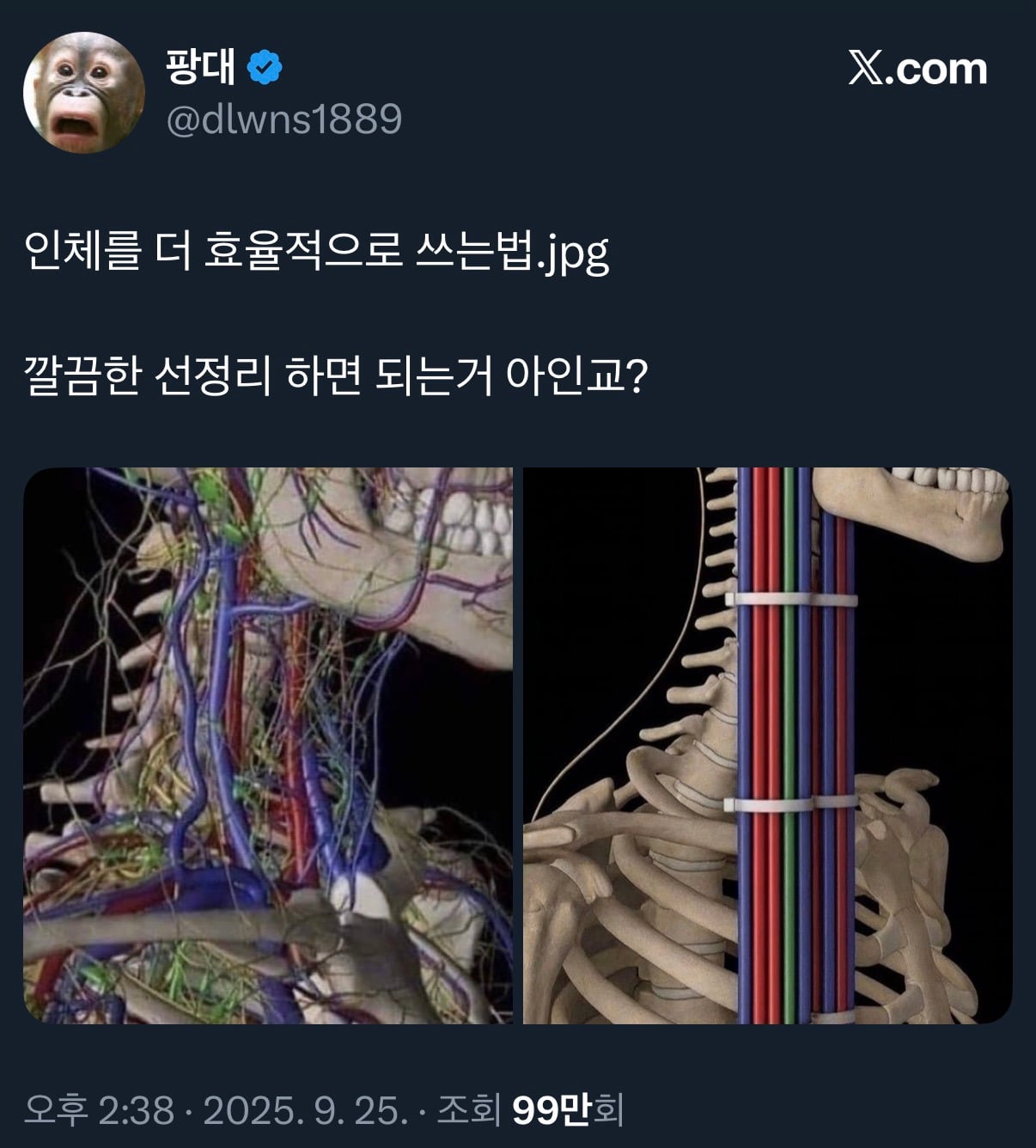 인체를 더 효율적으로 쓰는 법.jpg | 인스티즈