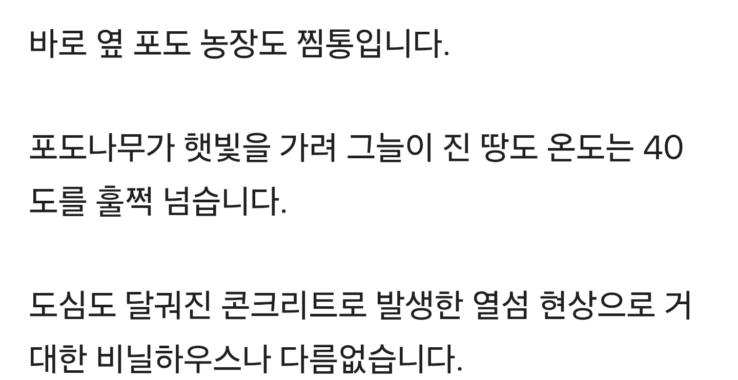 찜통 비닐하우스서 80대 사망 "온몸에 화상" | 인스티즈