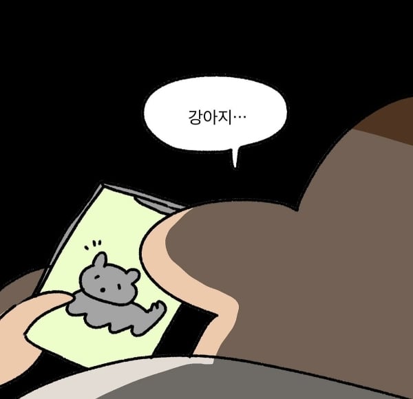 강아지 없는 일주일.jpg | 인스티즈