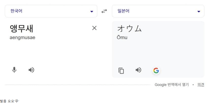 스포?) 점점 스노우볼이 커지고 있는 원피스 앵무새 떡밥 | 인스티즈
