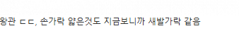 스포?) 점점 스노우볼이 커지고 있는 원피스 앵무새 떡밥 | 인스티즈