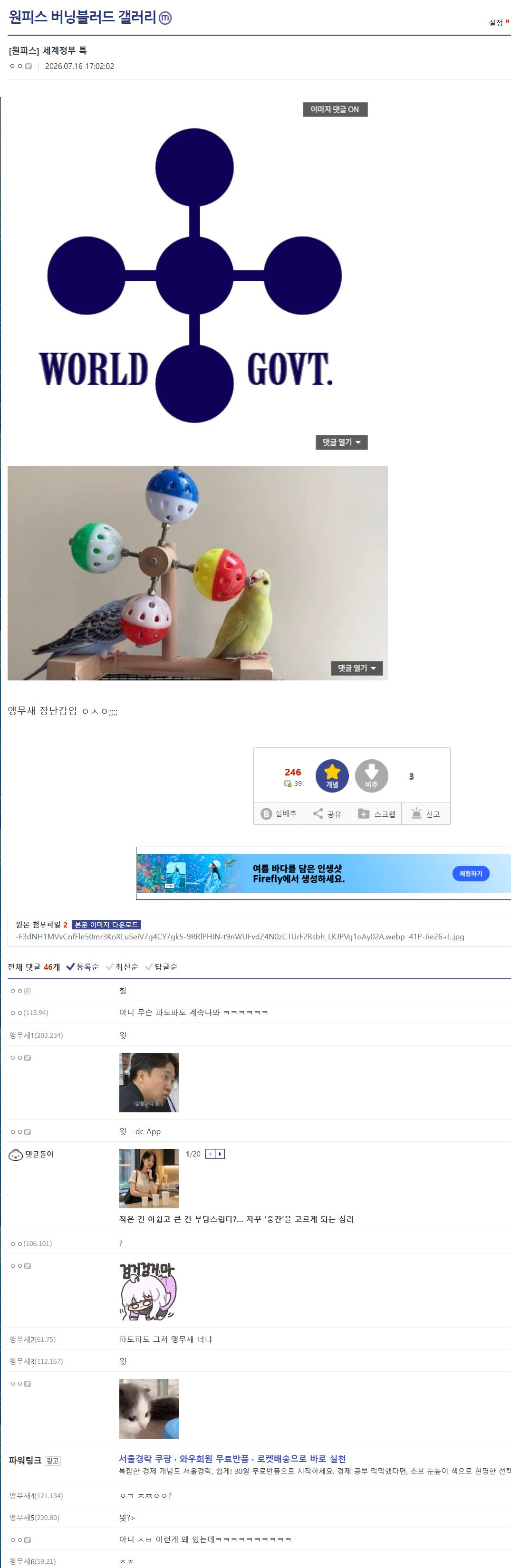 스포?) 점점 스노우볼이 커지고 있는 원피스 앵무새 떡밥 | 인스티즈